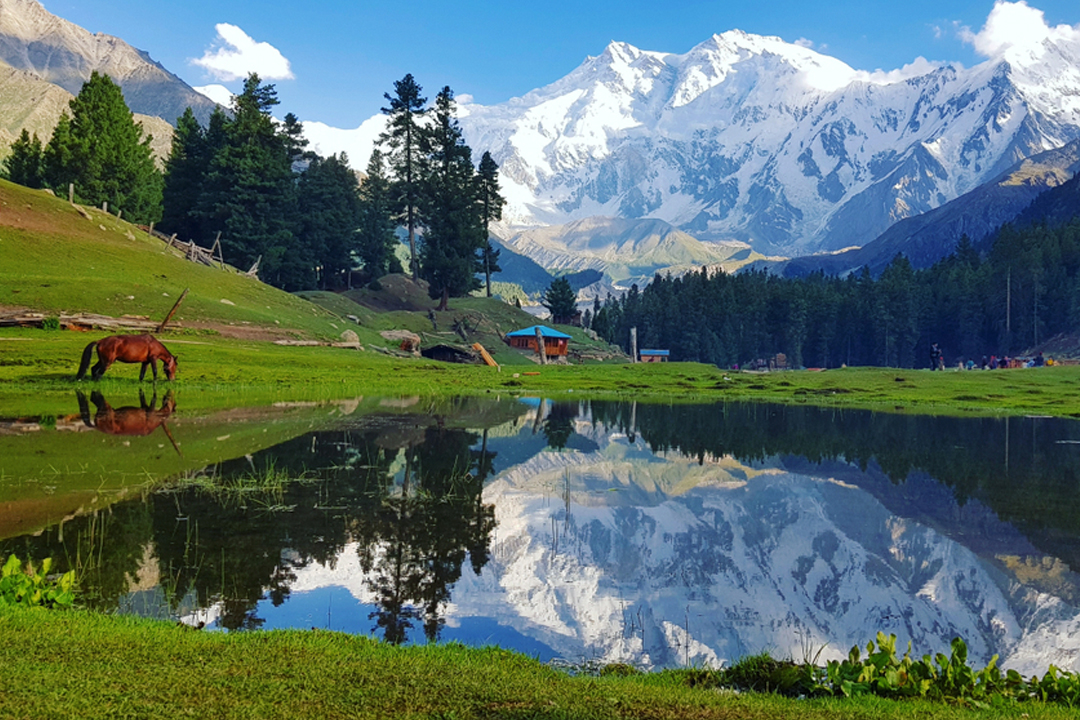 Fairy Meadows - Nanga Parbat